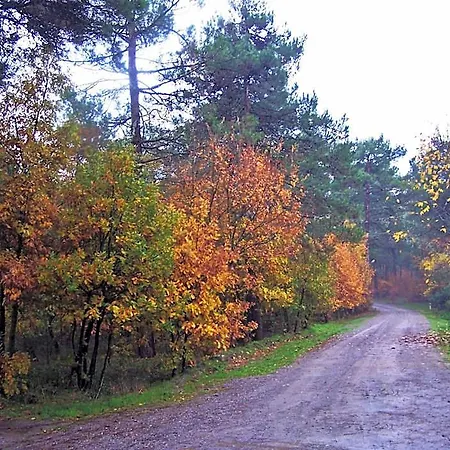 Iliada Kaz Daglari Yenice (Izmir)